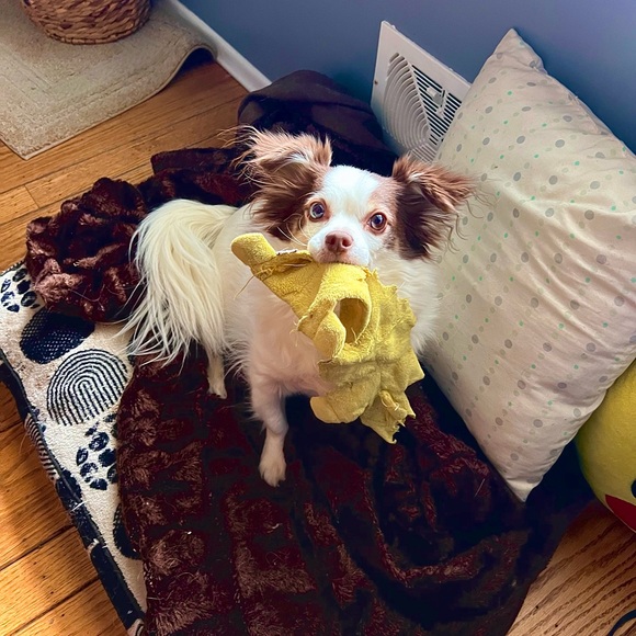 Meet your Posher, Kari - Picture 5 of 5